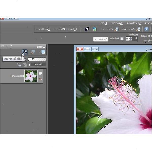 Hvordan laver semi transparent blomster i Paint Shop Pro. Opret en 300 x 300 nyt billede med en hvid baggrund.