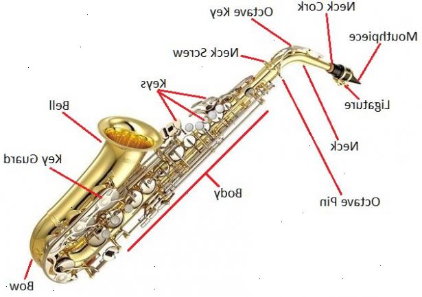 Hvordan man spiller alto saxofon. Få en altsax og tilbehøret er nødvendige for at spille det.
